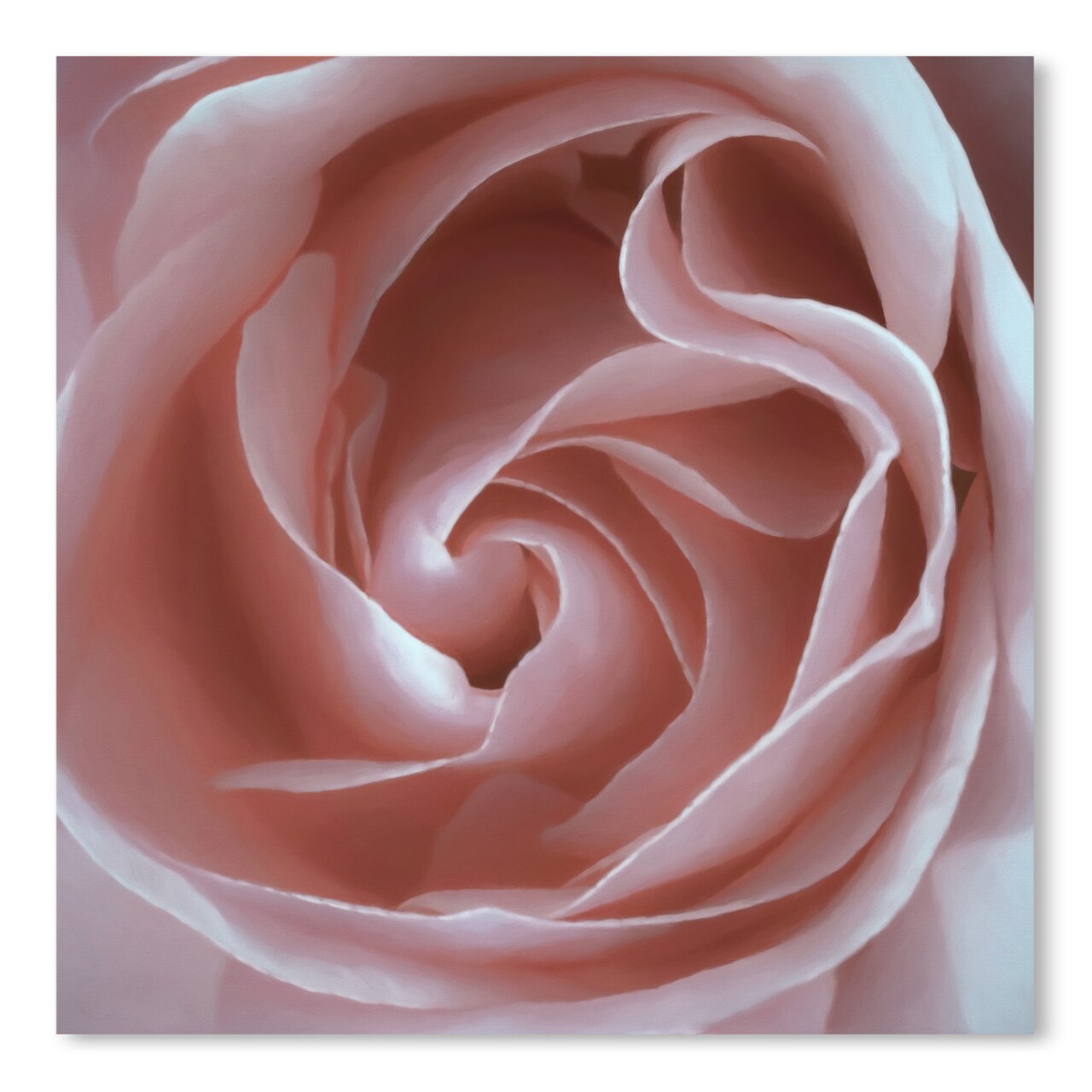 Pink Rose by Chaos &#x26; Wonder Design - 10&#x22;x10&#x22; Poster Art Print - Americanflat